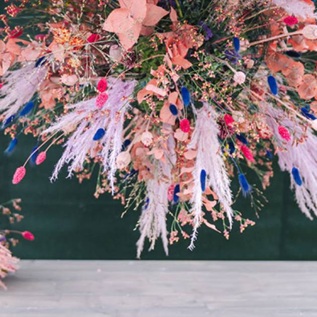 TivoliCatKoppelHaveBlomsterFestivalDag38630x410px